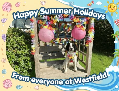 Happy Summer holidays